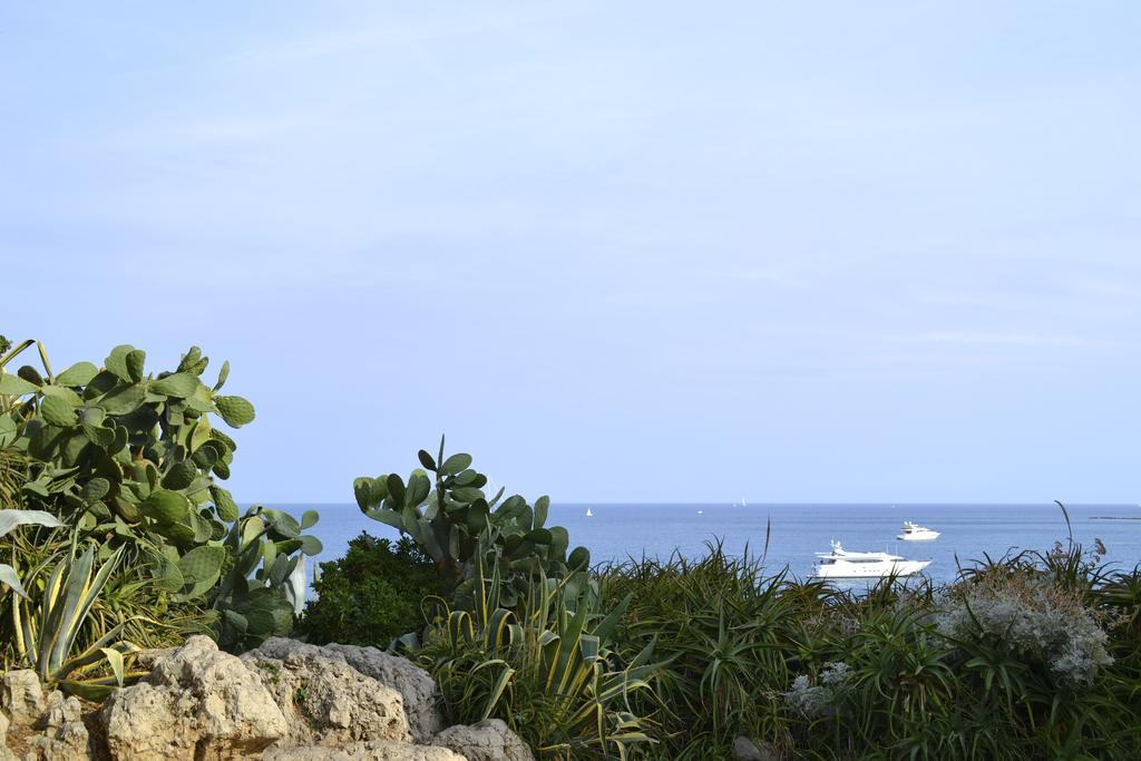 Villa Luca Antibes Exteriér fotografie